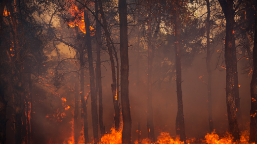 The Importance of Whole-House and Drinking Water Filtration, Along with HEPA Air Filters, in Combating Pollution and Post-Fire Contamination