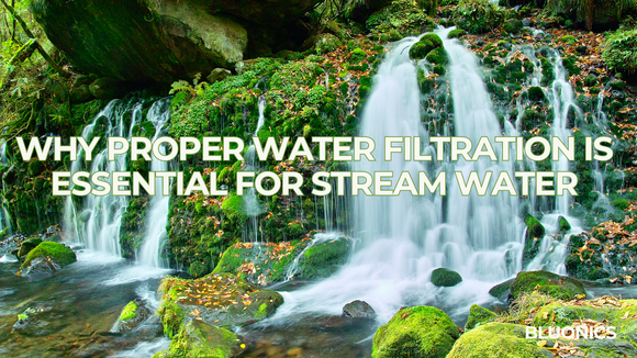 Swim, Don't Sip: Why Proper Water Filtration is Essential for Stream Water